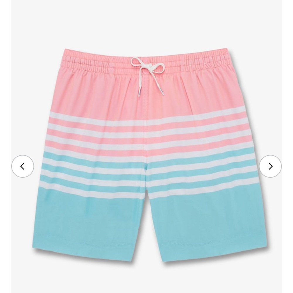Chubbies Men’s Classic Swim Trunks The On the Horizons Sz Small 7” Inseam Stripe